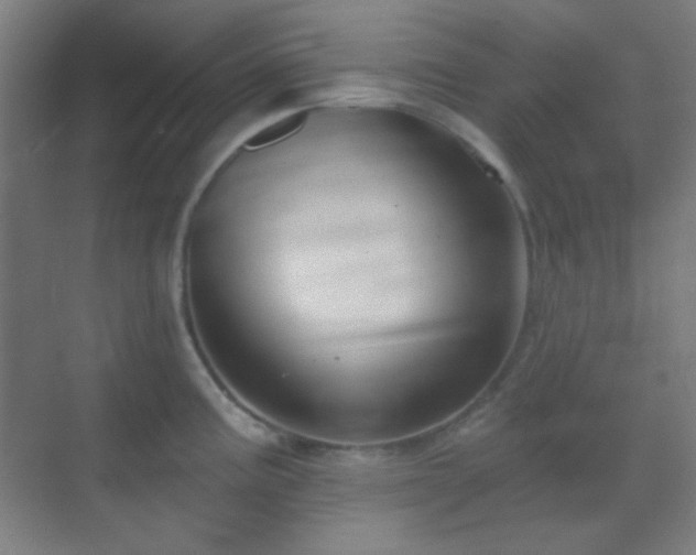 X0000070201195200605261218