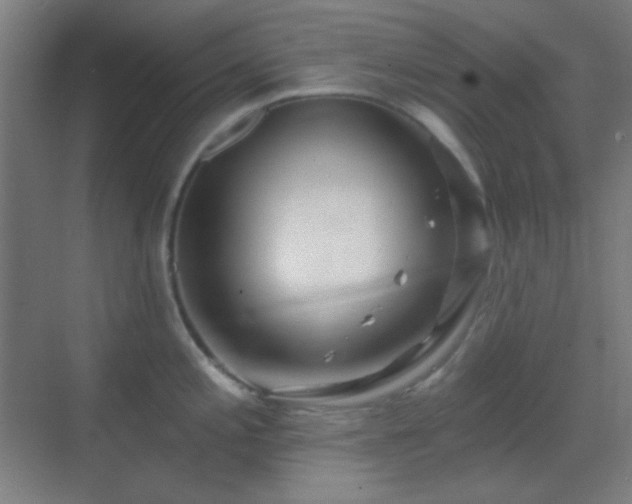 X0000070201197200605261218