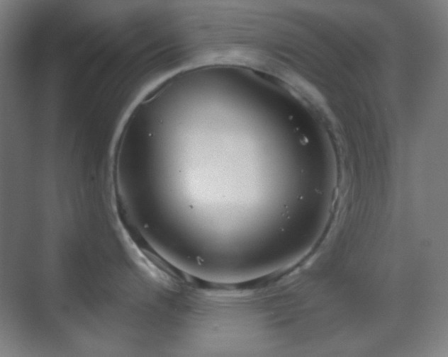 X0000070201200200605261218