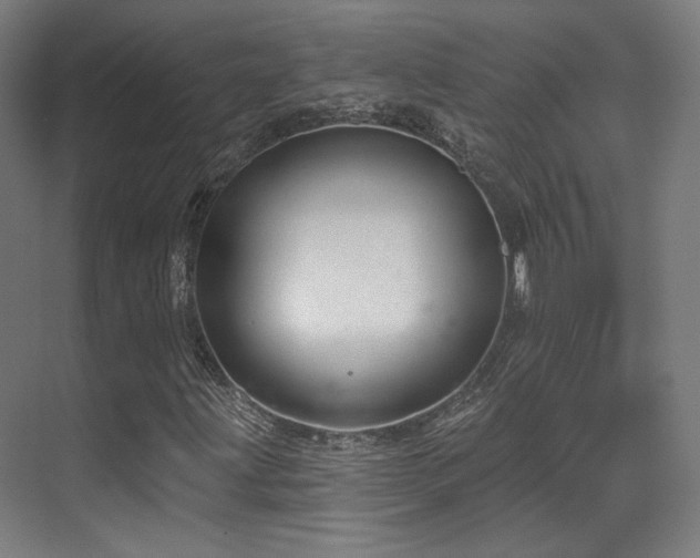 X0000070201203200605261217