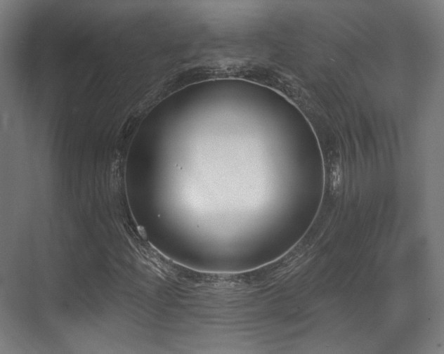 X0000070201204200605261217