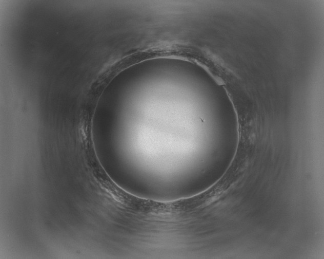 X0000070201206200605261217