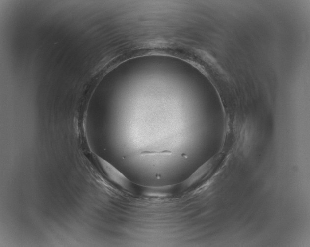 X0000070201209200605261217