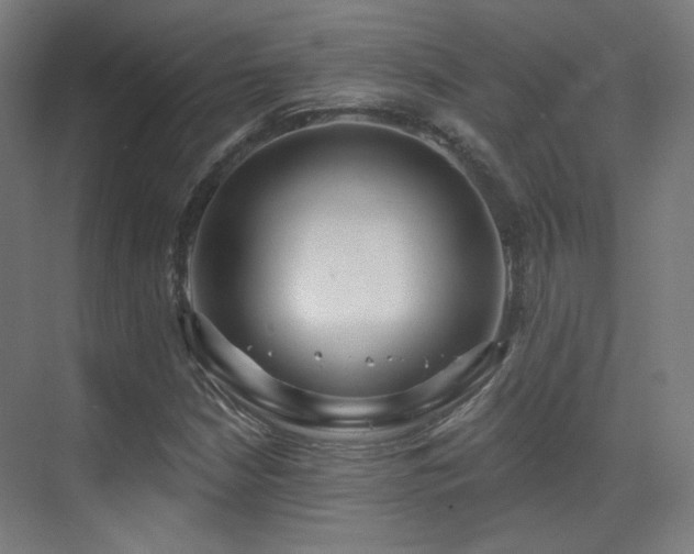 X0000070201210200605261217