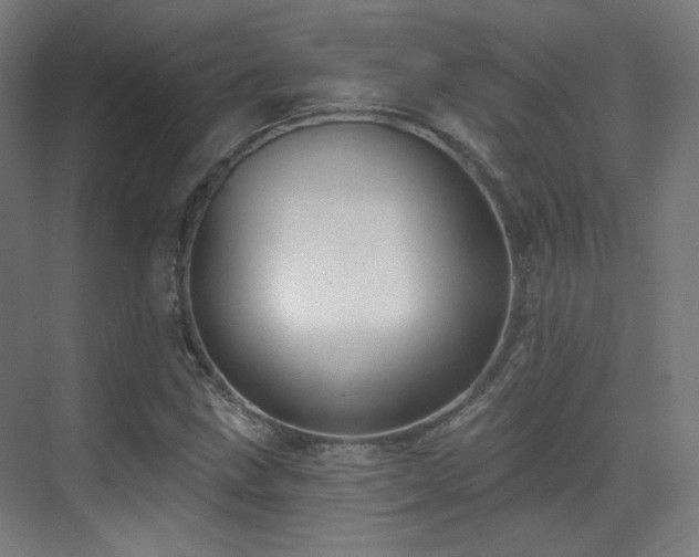 X0000070201211200605261217