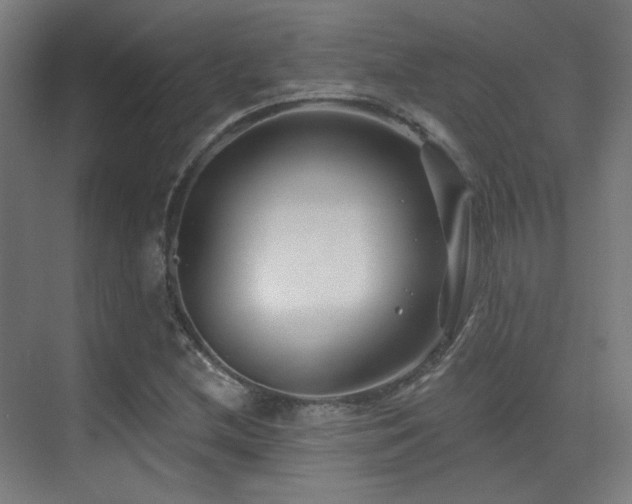 X0000070201212200605261217