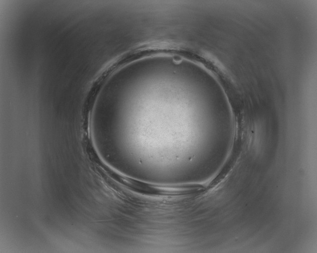 X0000070201213200605261217