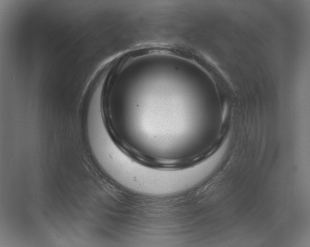 X0000070201214200605261217