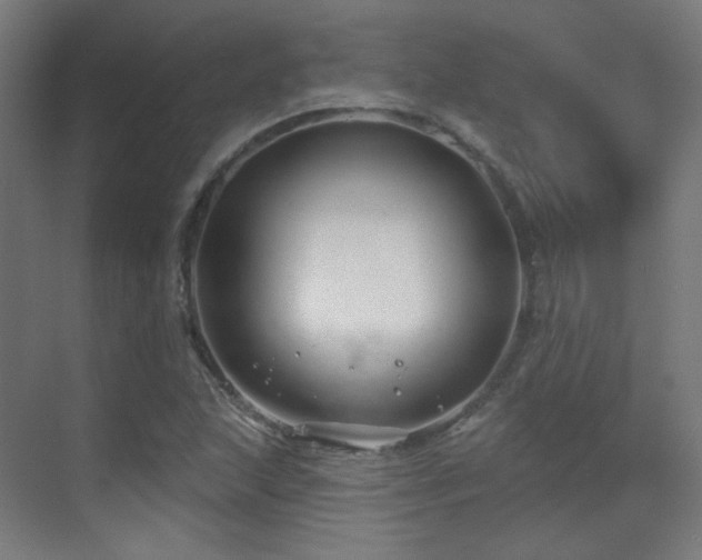 X0000070201215200605261217