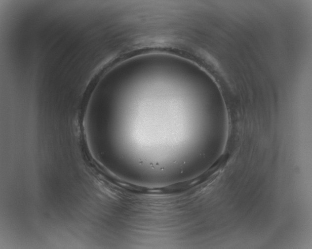 X0000070201218200605261217