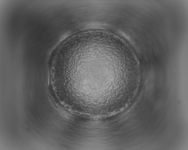 X0000070201219200605261217