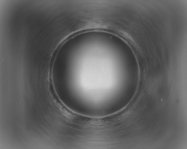 X0000070201220200605261217