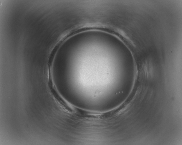 X0000070201221200605261217