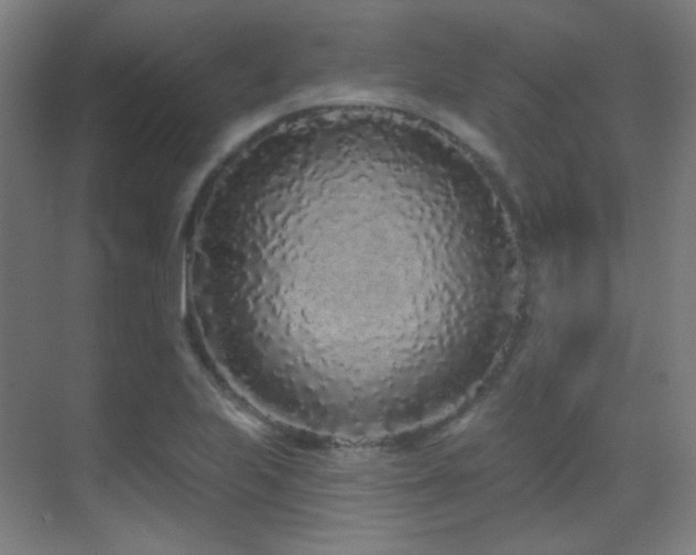 X0000070201223200605261217