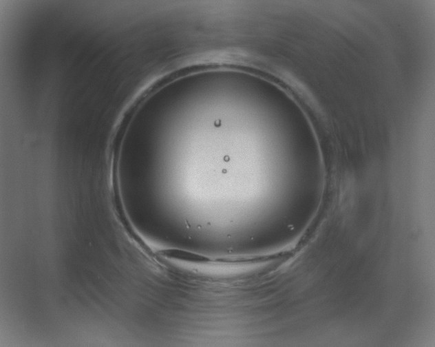 X0000070201224200605261217