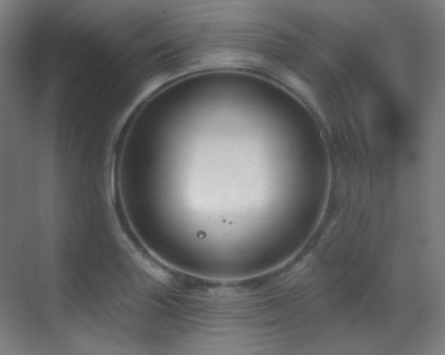 X0000070201227200605261217