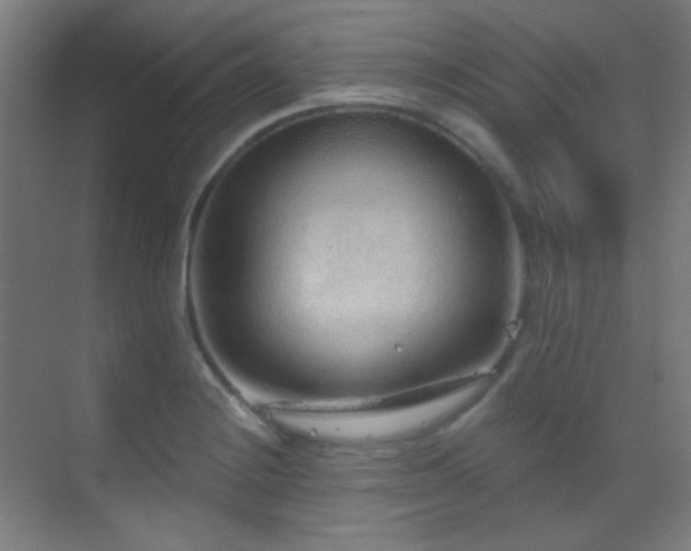 X0000070201228200605261217
