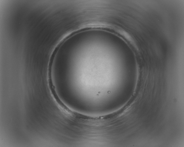X0000070201229200605261217