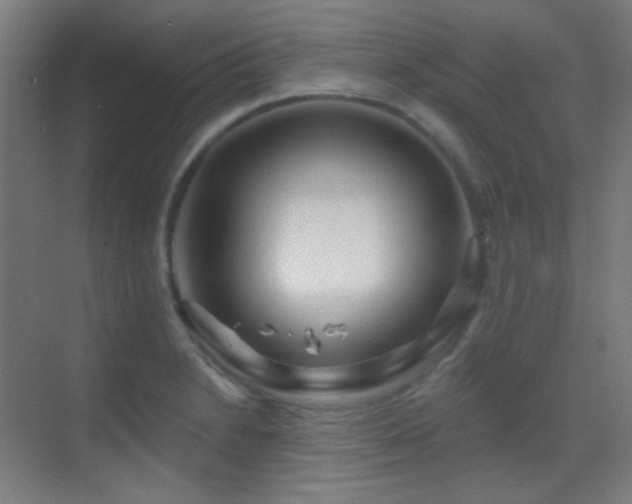 X0000070201230200605261217