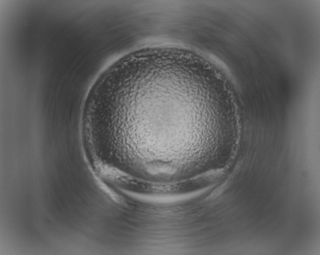 X0000070201231200605261217