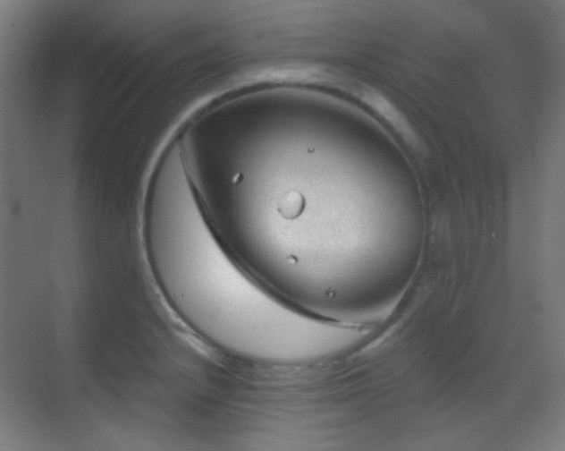 X0000070201232200605261217