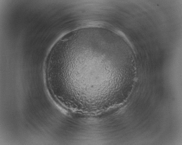 X0000070201235200605261217