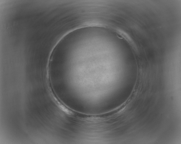 X0000070201236200605261217