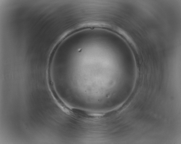 X0000070201237200605261218