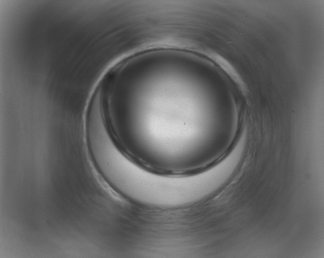X0000070201238200605261218