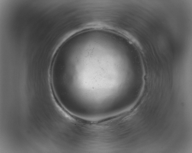 X0000070201239200605261218