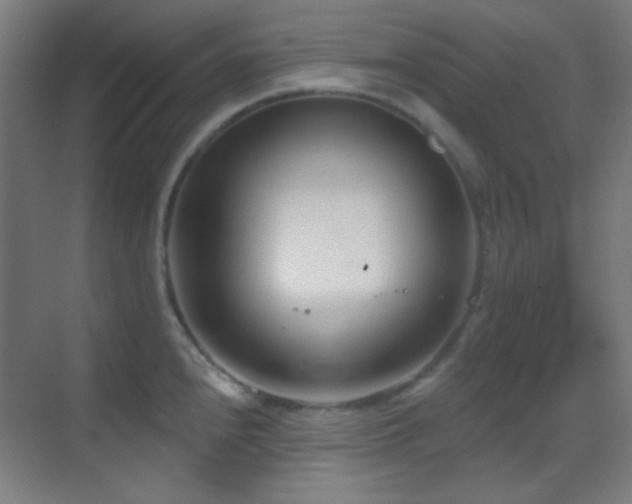 X0000070201240200605261218