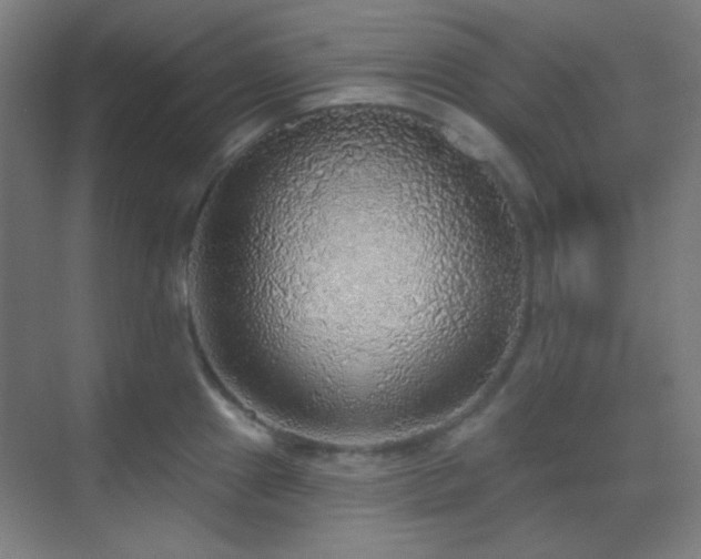 X0000070201241200605261218