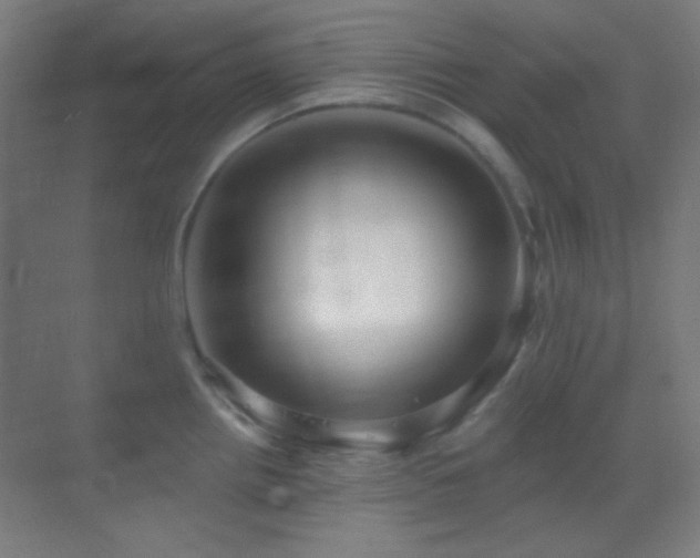 X0000070201242200605261218