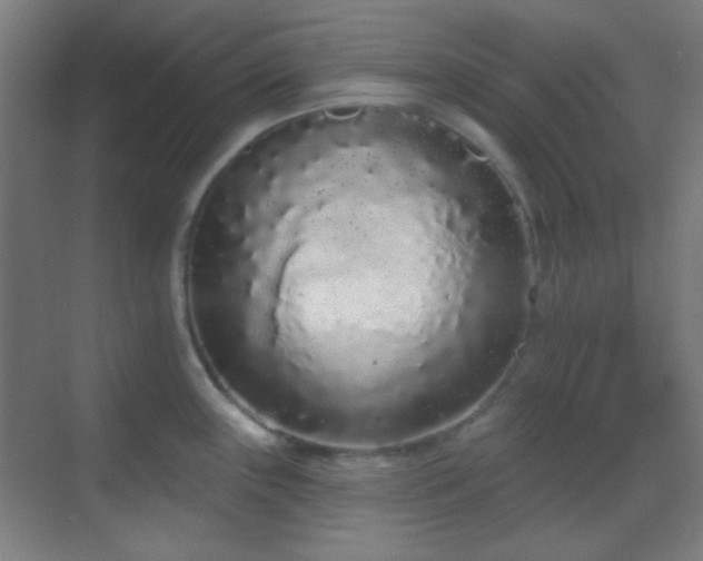 X0000070201243200605261218