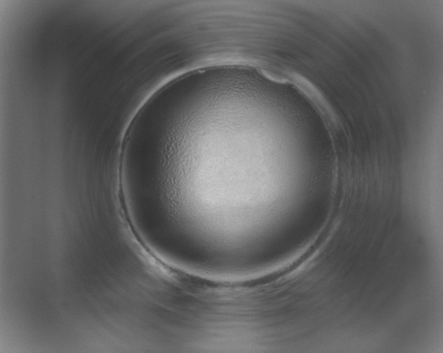 X0000070201244200605261218