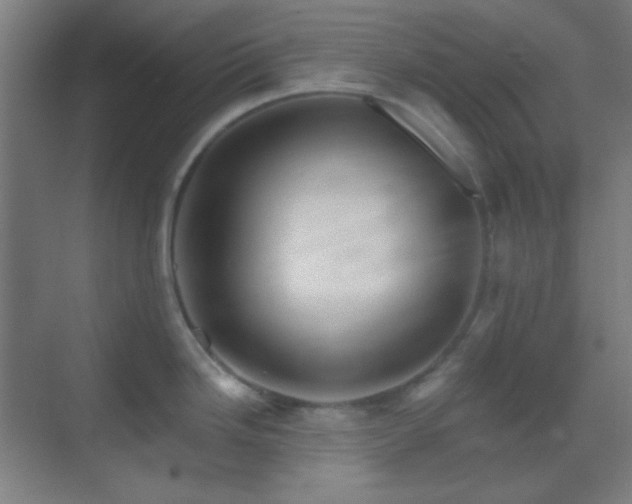 X0000070201246200605261218