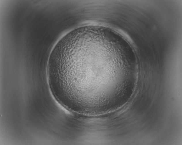 X0000070201247200605261218