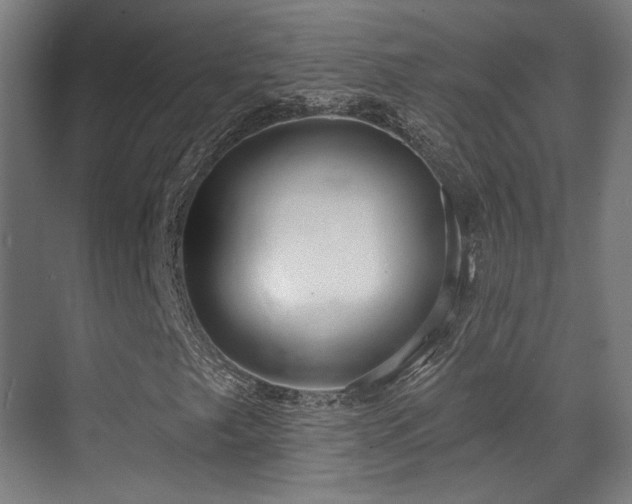 X0000070201249200605261217