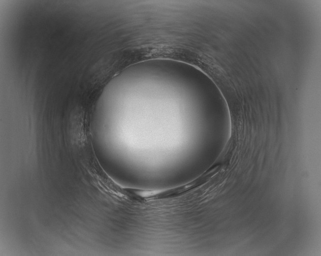 X0000070201250200605261217