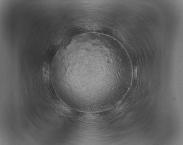 X0000070201251200605261217