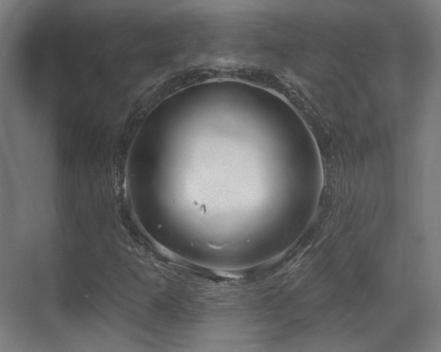 X0000070201253200605261217