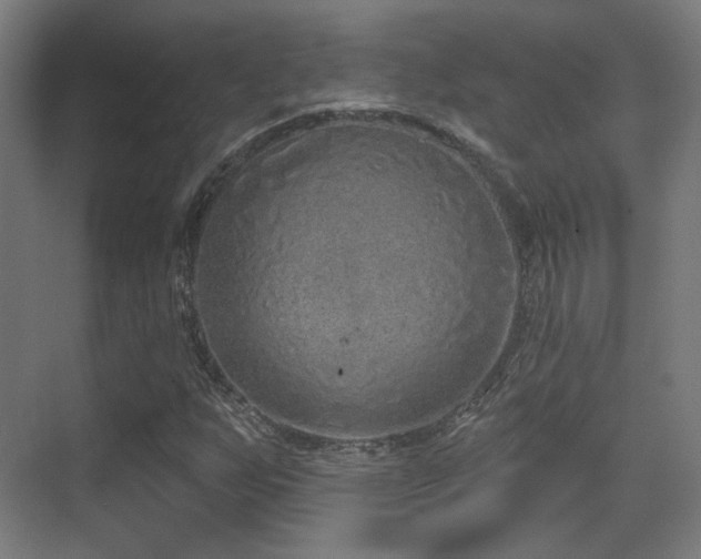 X0000070201255200605261217