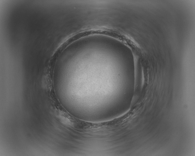 X0000070201256200605261217