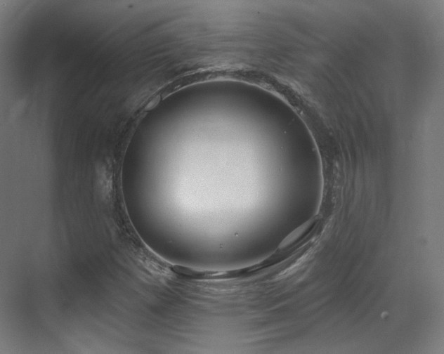 X0000070201257200605261217