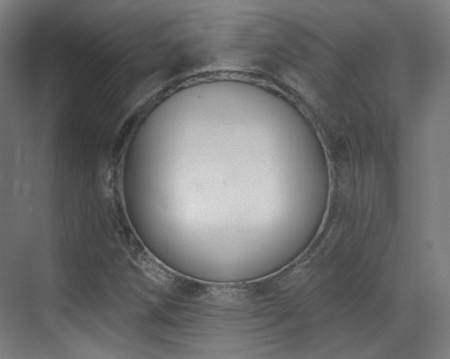 X0000070201258200605261217