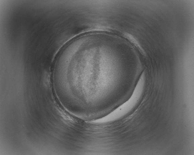 X0000070201260200605261217