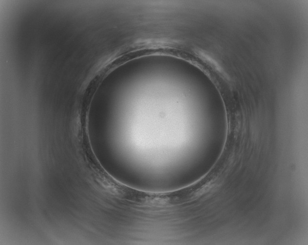 X0000070201261200605261217