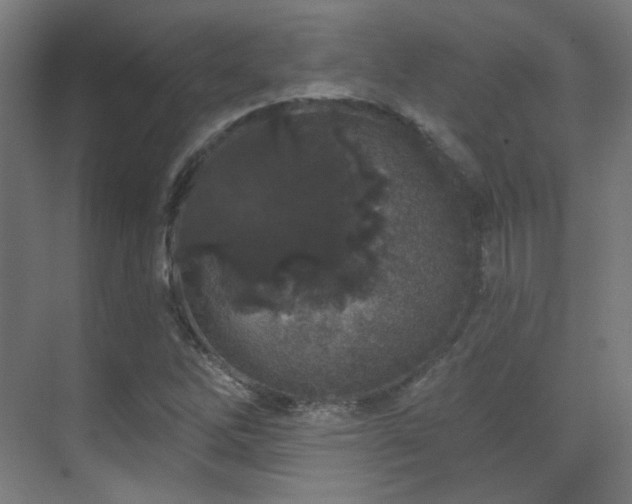 X0000070201262200605261217
