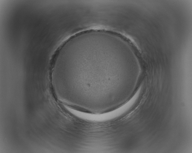 X0000070201263200605261217