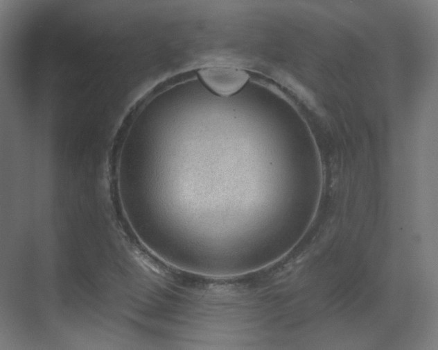 X0000070201264200605261217